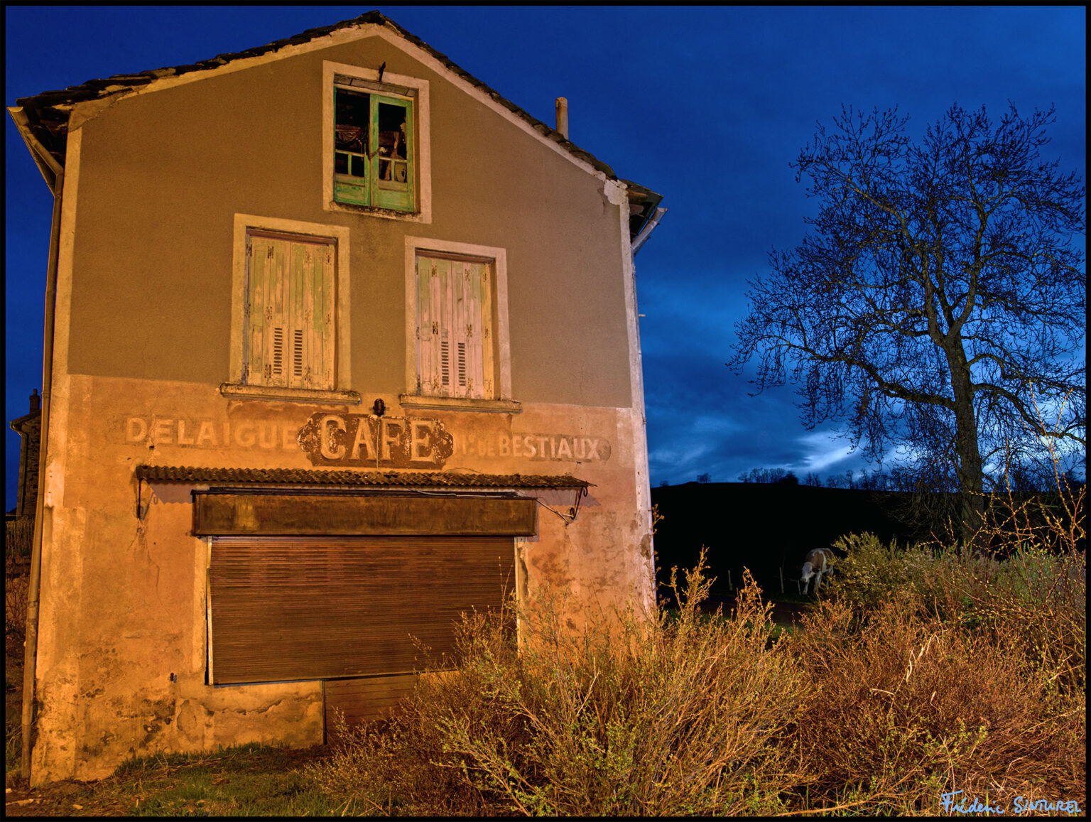 Le café bestiaux