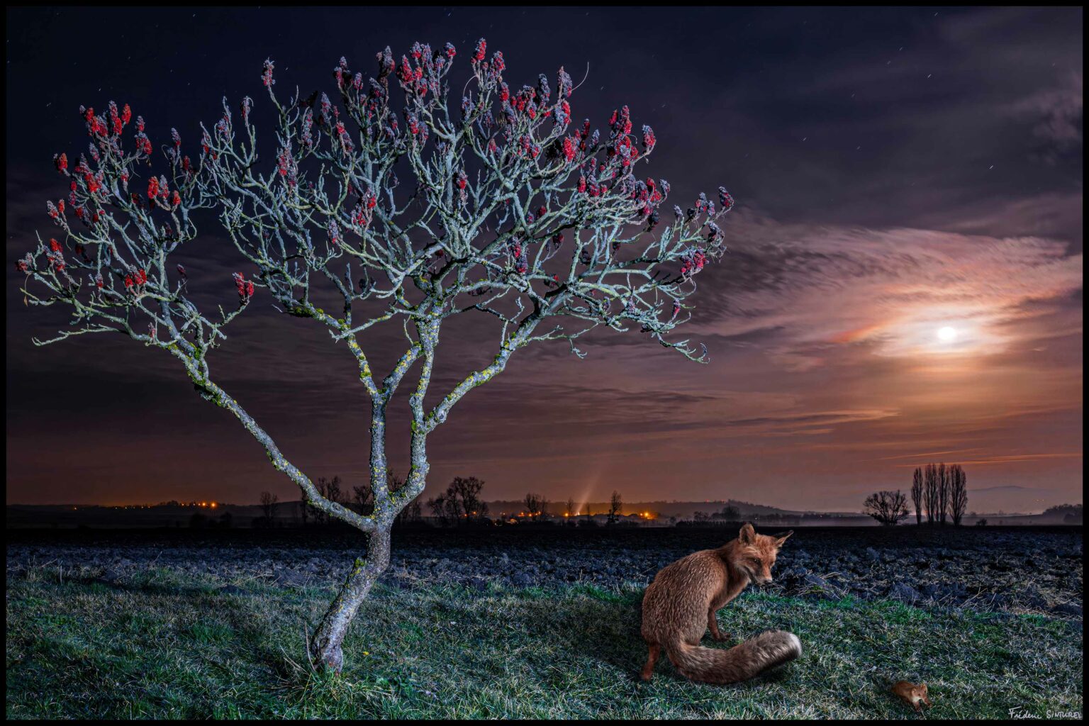 Lune Rousse